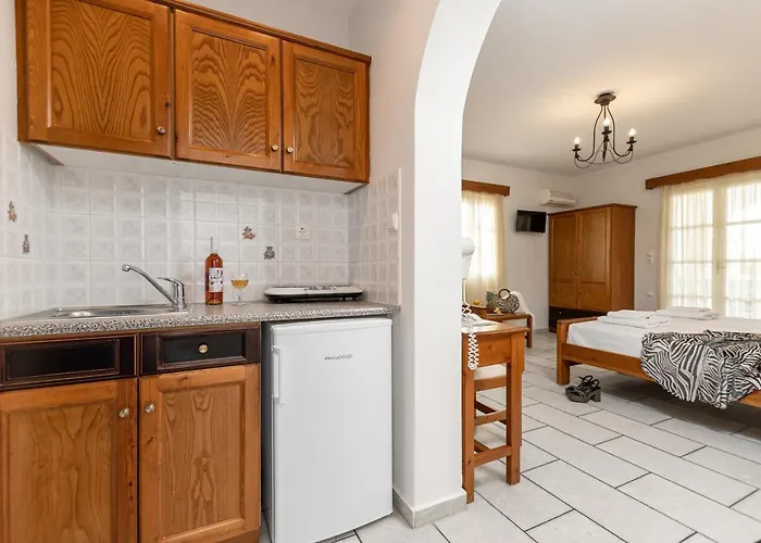 Summer Memories Apartamento Naxos City