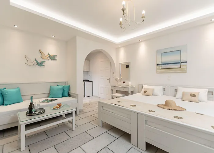 夏日回忆一室公寓酒店 * Naxos City